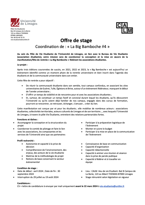 offre-de-stage-coordination-de-la-big-bamboche-2024-2